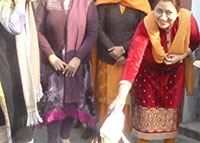 Lohri Celebration